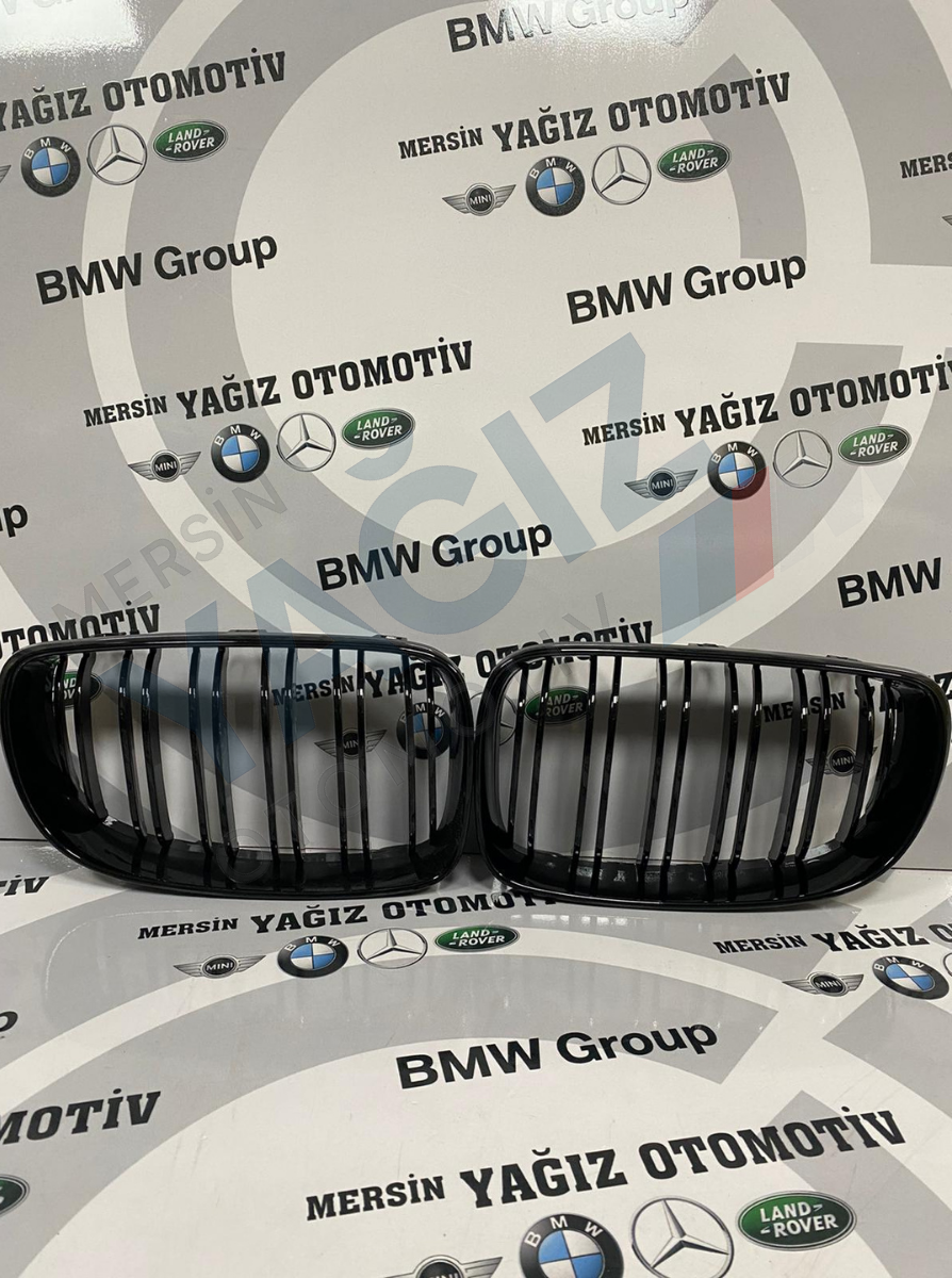 E87 SAĞ SOL BÖBREK 0873198