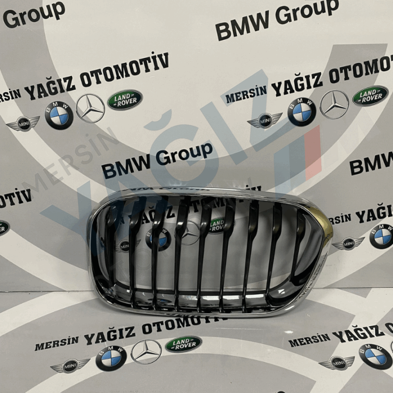 F20LCI SİYAH KROM BÖBREK 7371685 51137371685