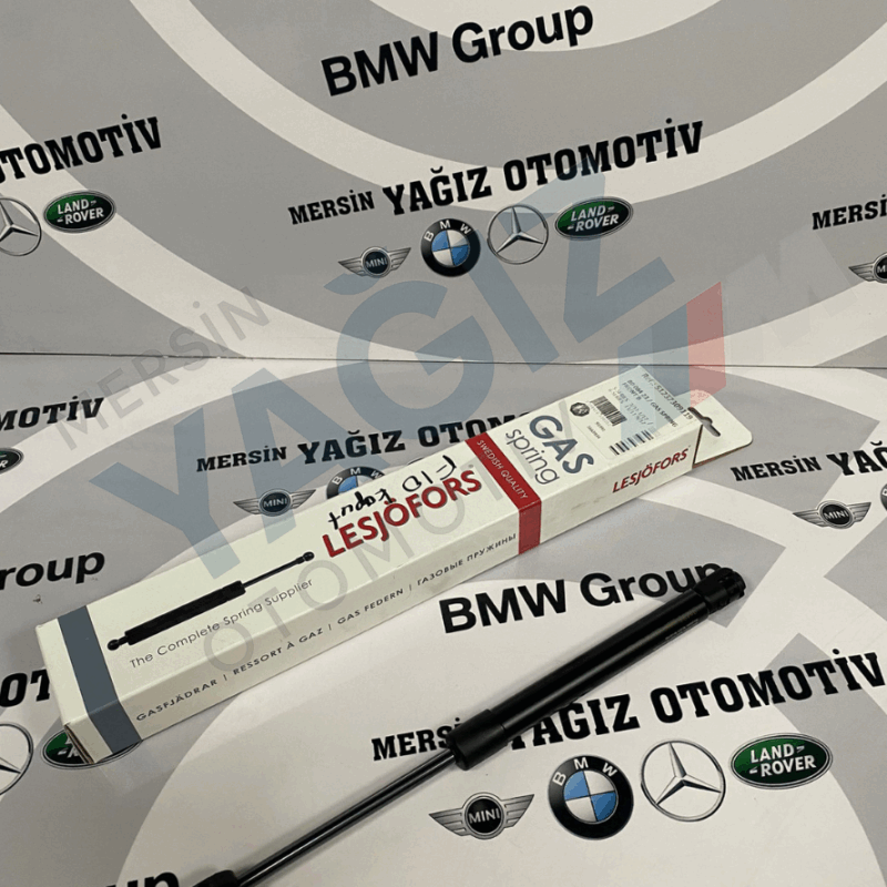 KAPUT AMORTİSÖRÜ F10 7309119 51237309119