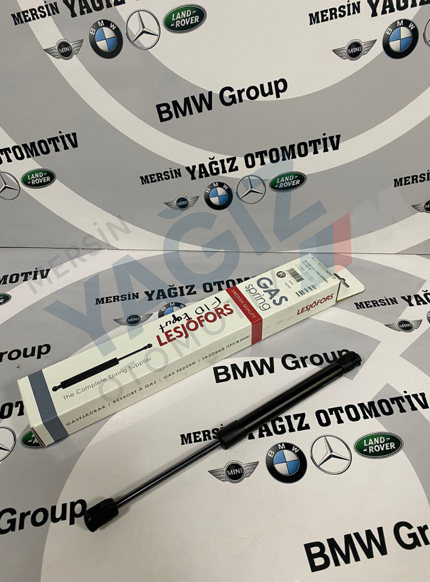 KAPUT AMORTİSÖRÜ F10 7309119 51237309119