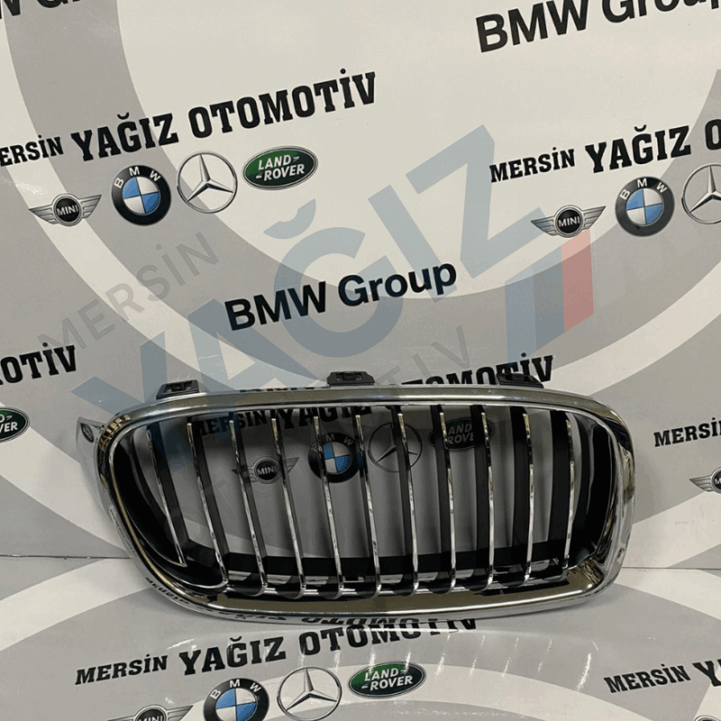 TONG YANG F30 SAĞ BÖBREK 7263482 51137263482