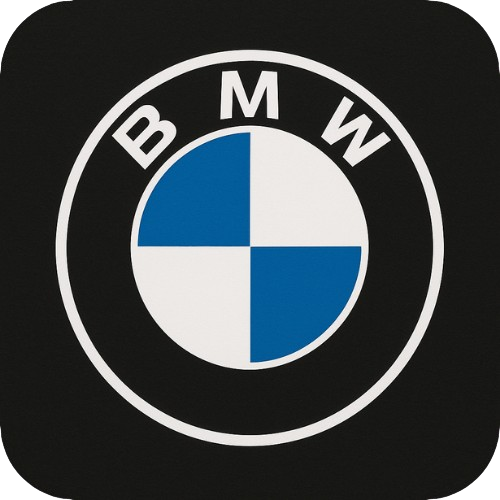 BMW Logo 2