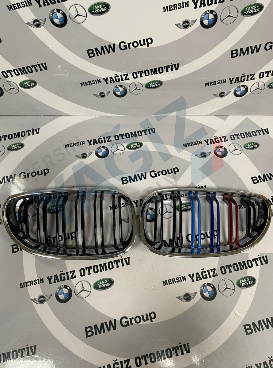 E60 SAĞ SOL BÖBREK KROM 7065701-7065702