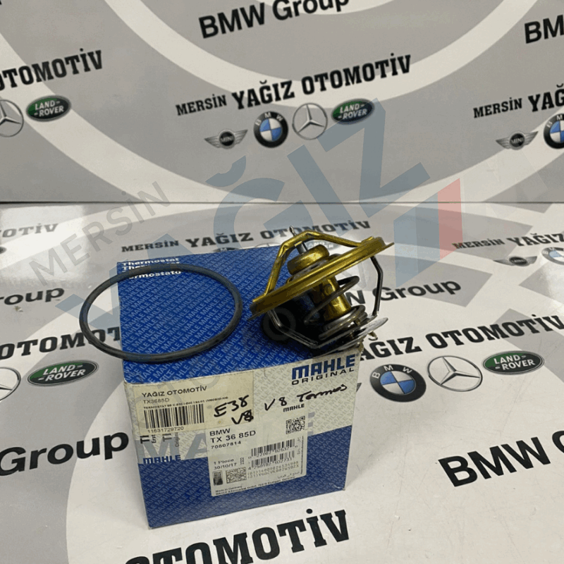 TX 36 85D E38 V8 TERMOSTAT 11531729720